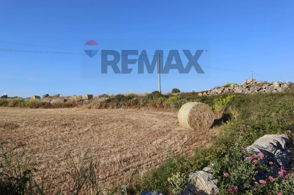 Jardin - Rustic Farmhouse with Private Garden in Ragusa