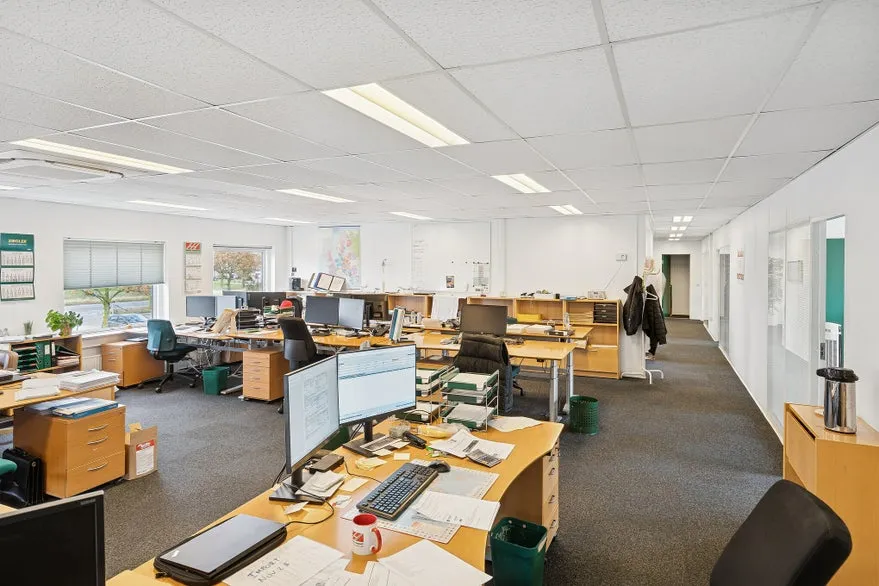 Bureau - Warehouse and Office Space in Hvidovre