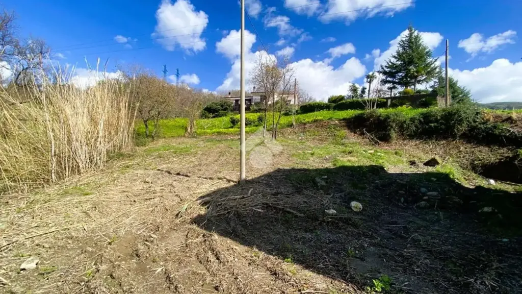 Jardin - Panoramic Villa with Sea View in Paola