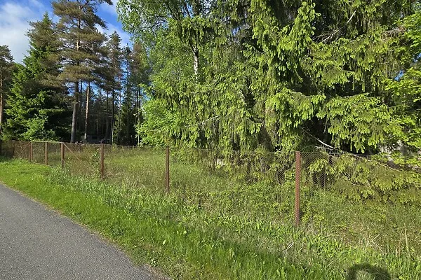 Aed - Country Plot with Forest Access in Koppelmaa