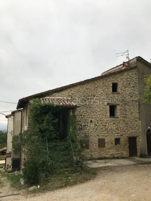 facade