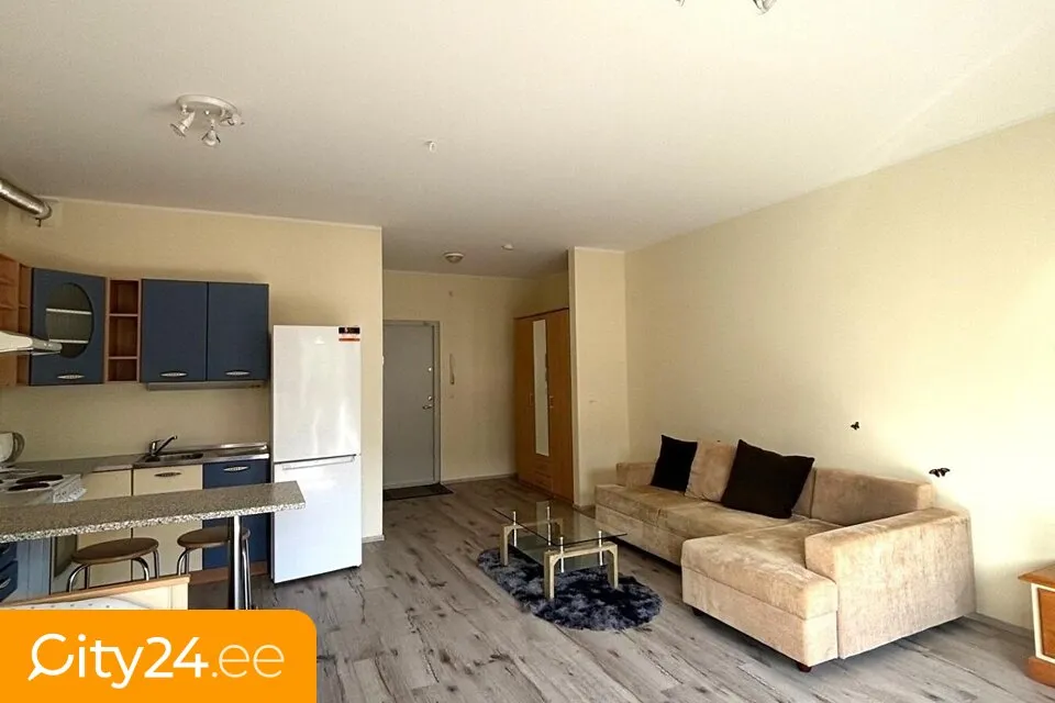 Living Room - Renovated Apartment with Balcony in Viimsi