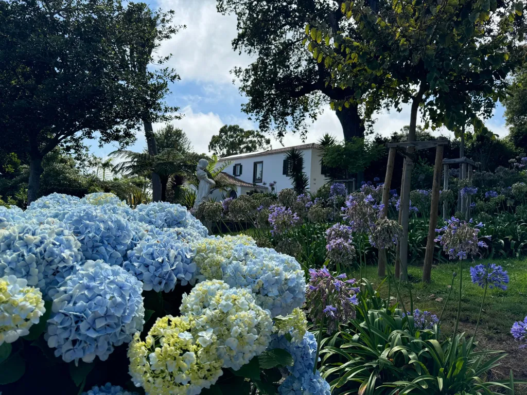garden