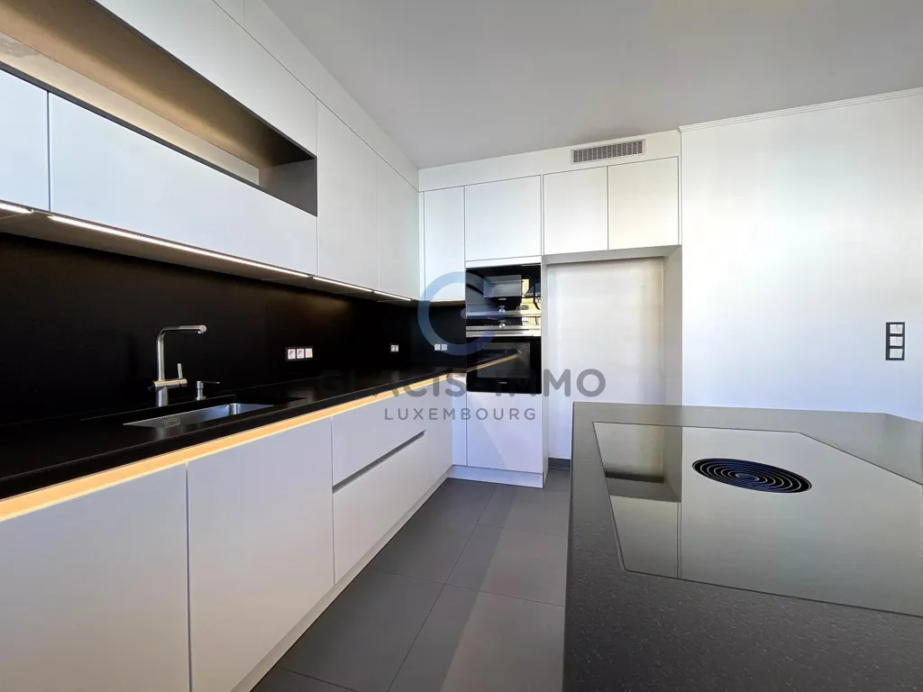 Kitchen - Luxury Duplex with South Balcony in Dudelange