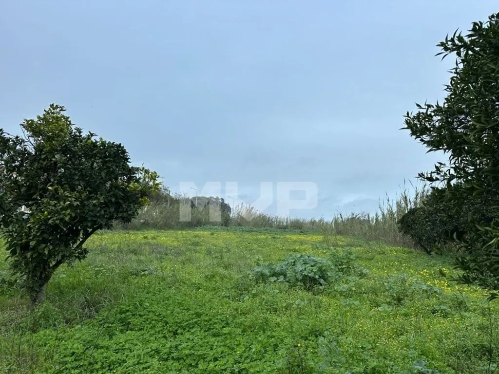 Jardin - Building Land Near Future Park in Olhão