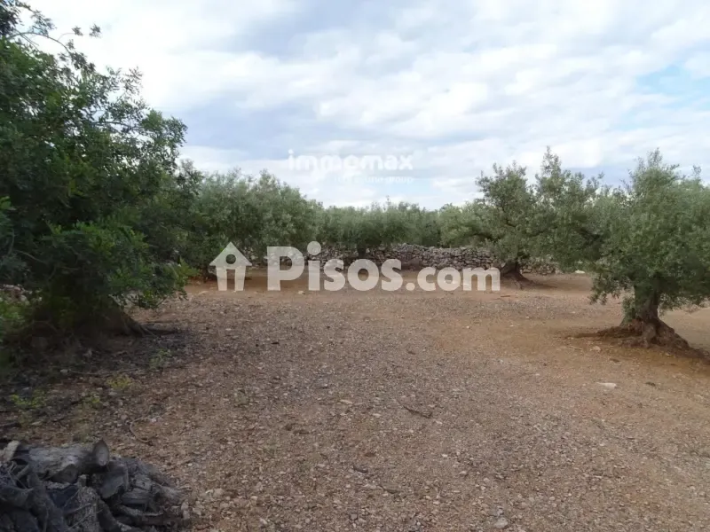 Aed - Rustic Farm with Olive Grove in Xerta