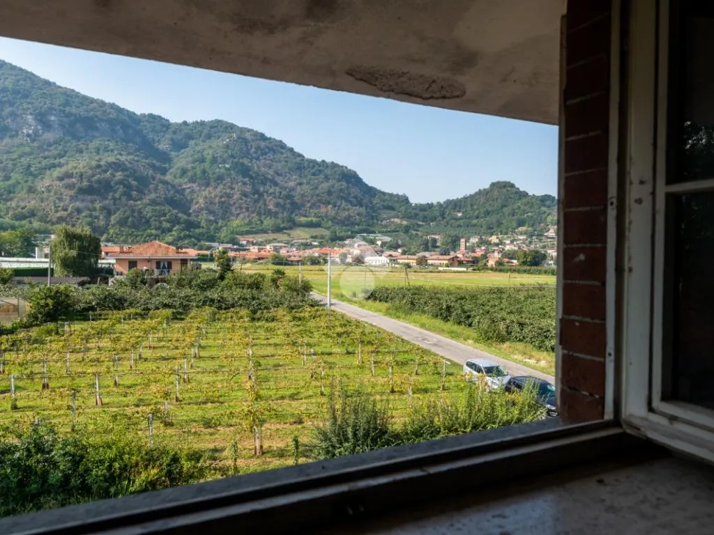 Toad - Independent Villa with Garden near Revello