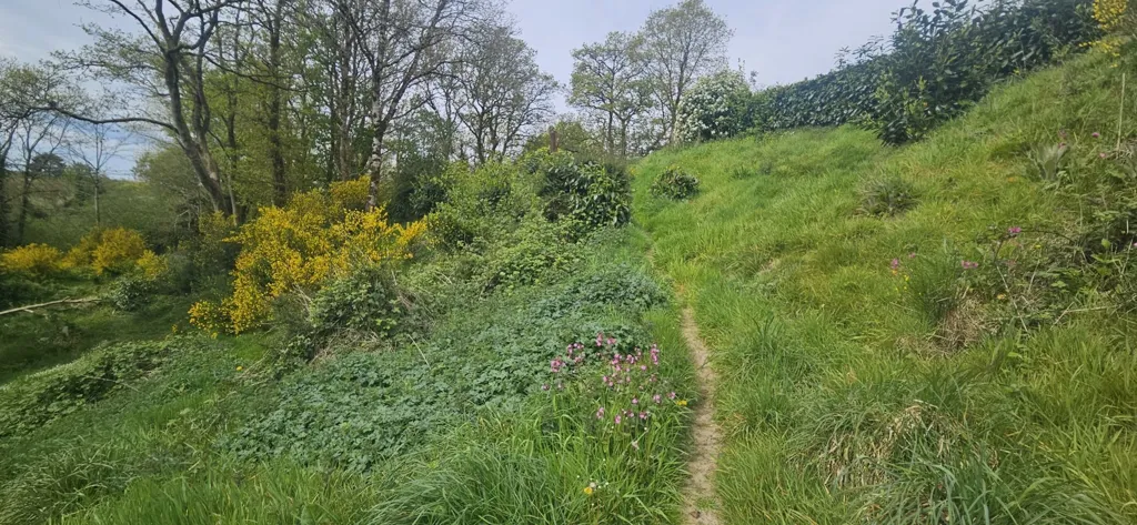 Jardin - Maison de Plain-Pied avec Terrain Boisé à Callac
