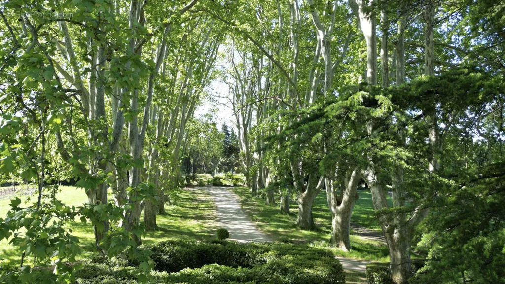Jardin - Maison historique avec vignoble à Beaumes-de-Venise