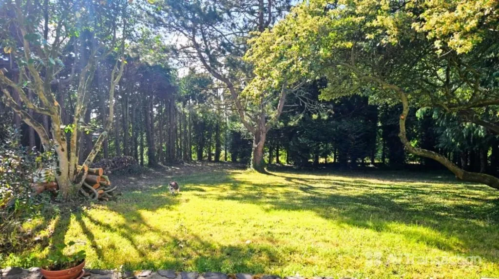 Aed - Stone Longère with Large Garden in Lantic