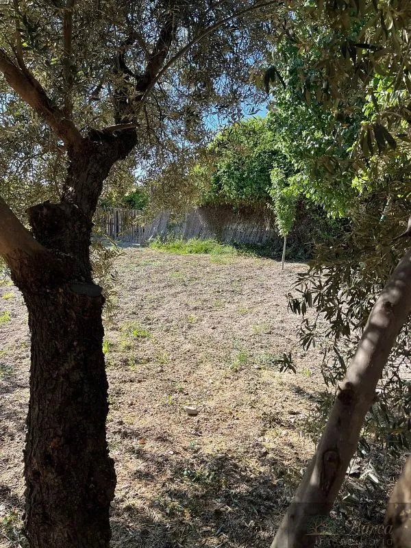 Aed - Plot for Development in Rute