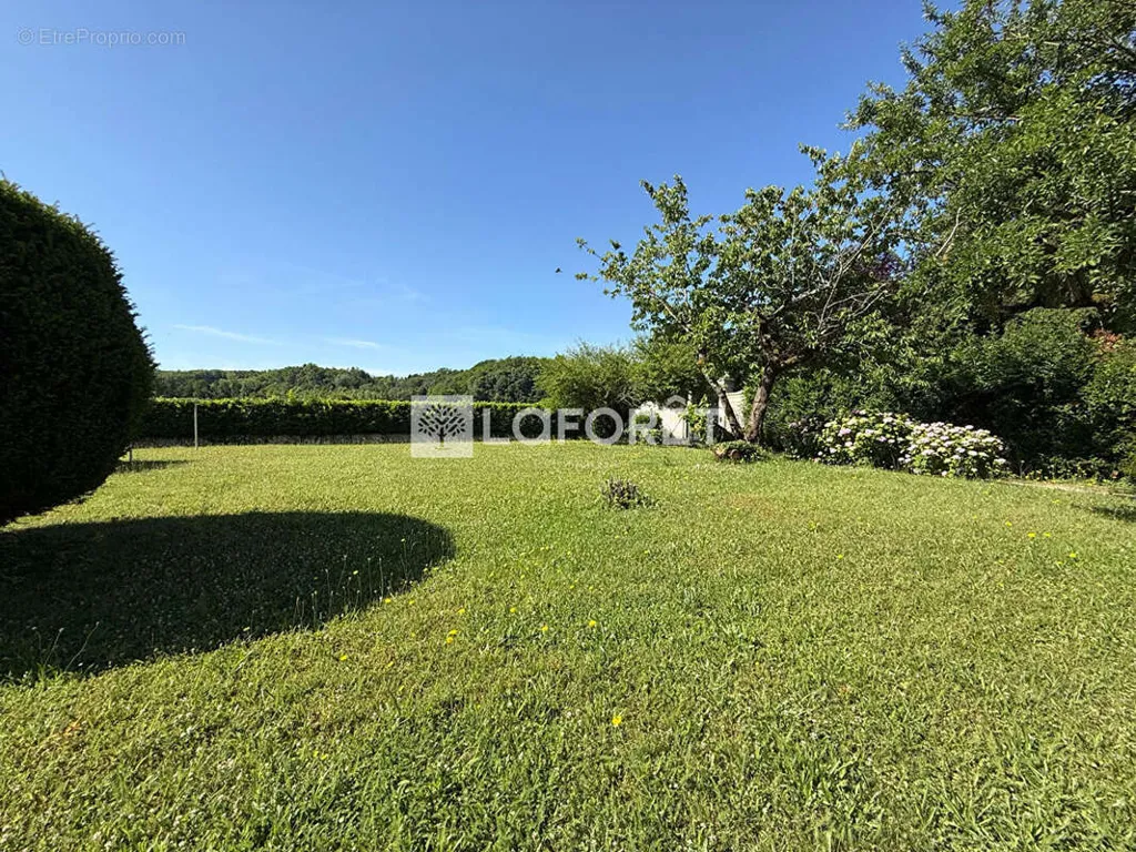 Jardin - Terrain Constructible avec Vue Campagne à Sainte-Euphémie