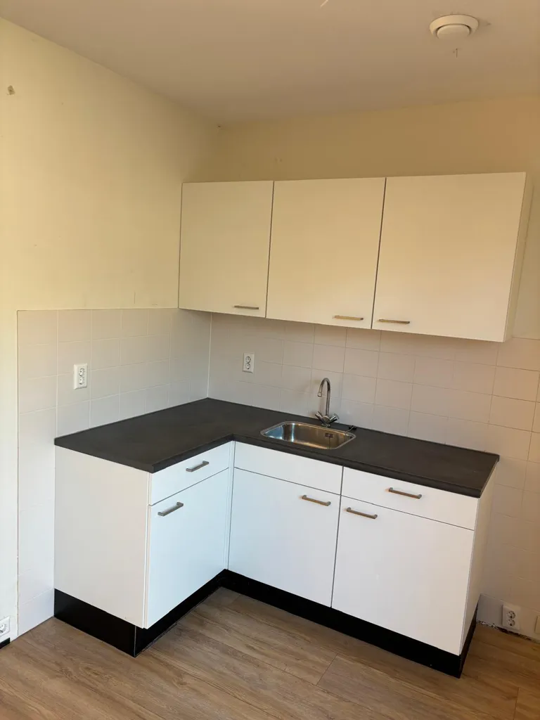 Cuisine - Apartment with Balcony in Alphen aan den Rijn