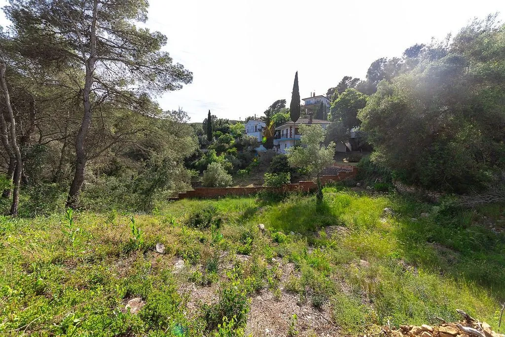 Jardin - Chalet with Pool and Terrace in Rodonyà