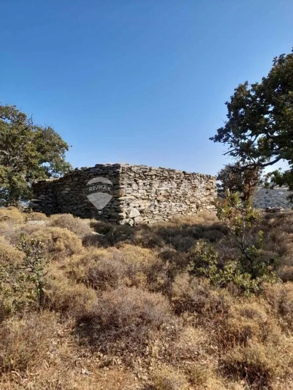 Jardin - Farmhouse with Sea View in Perama