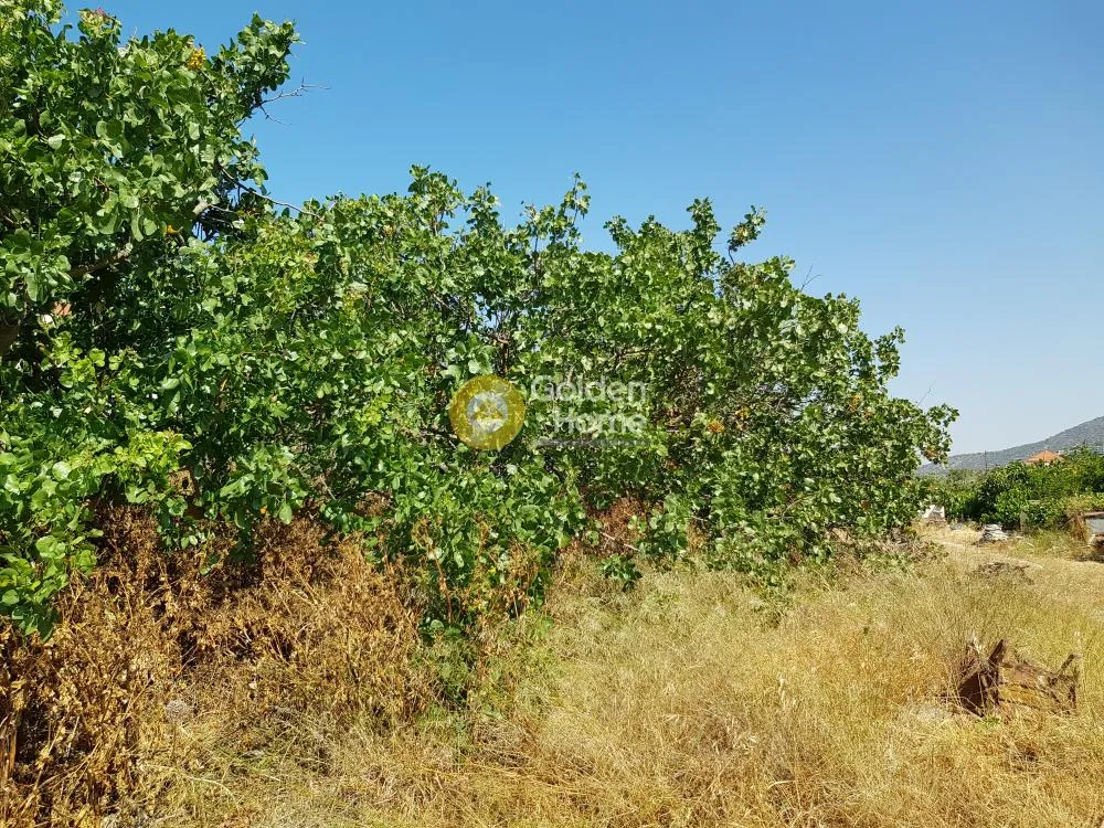 Aed - Plot for Development with Mountain View in Neos Koutavas