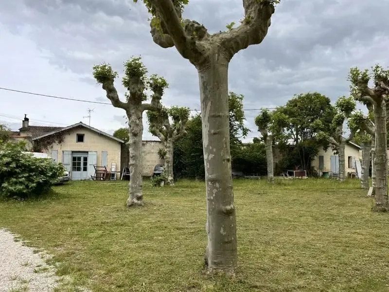 Jardin - Château à Réaménager avec Parc à Arveyres