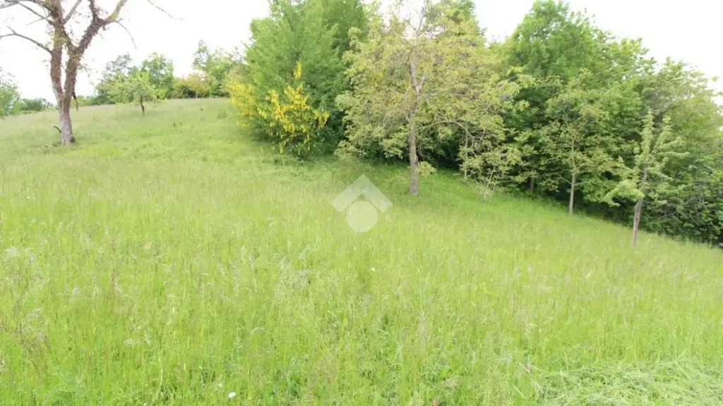 Aed - Independent House with Private Garden in Carpineti