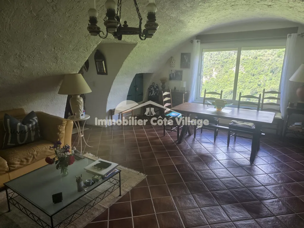 Séjour - Villa avec Vue Montagne à Breil-sur-Roya