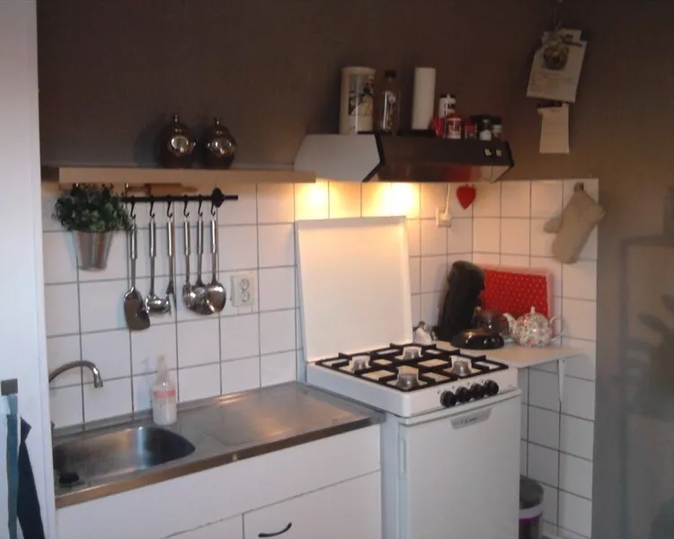 Cuisine - Student Room with Garden in Leeuwarden