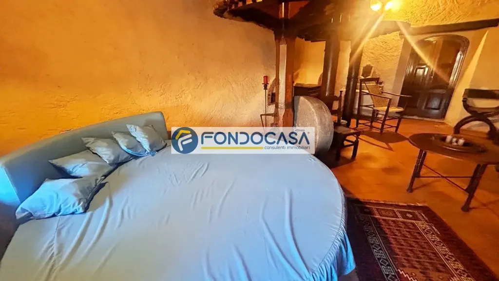 Magamistoad - Historic Mill with Garden in Camaiore