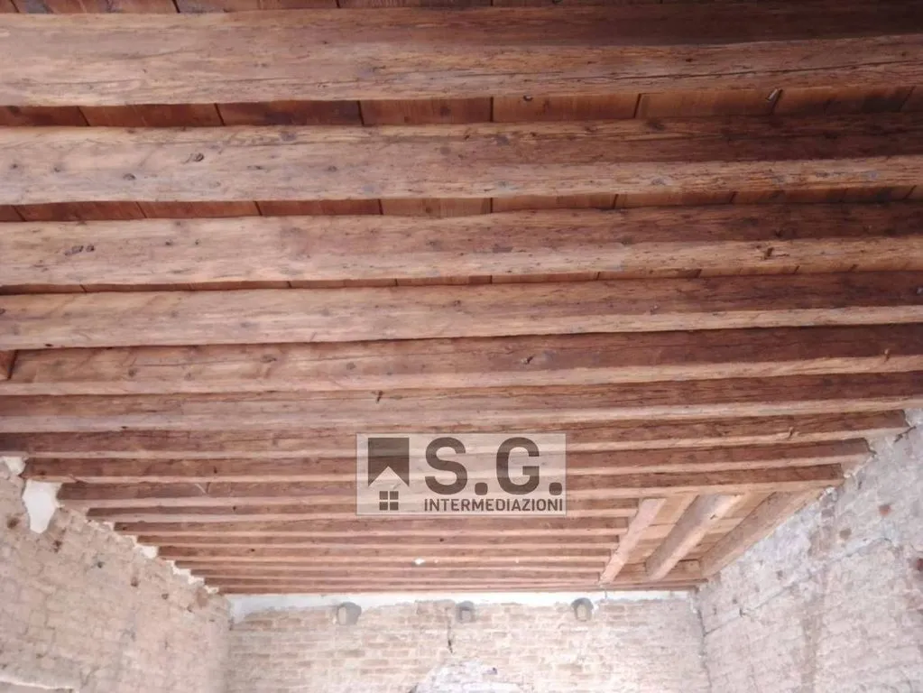 Toad - Luxury Villa with Private Garden in Mirano