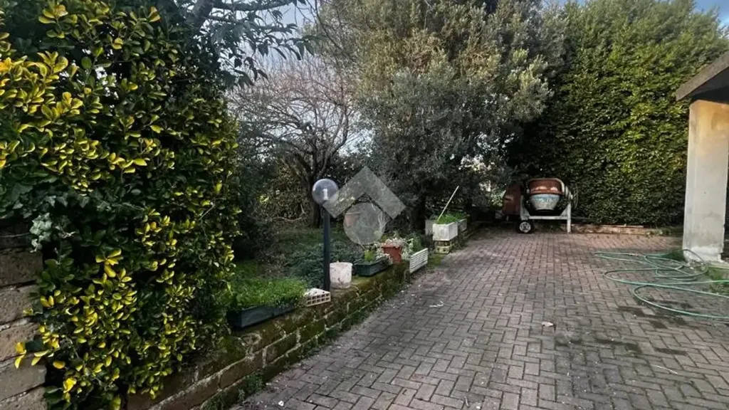 Jardin - Independent House with Garden in Ardea