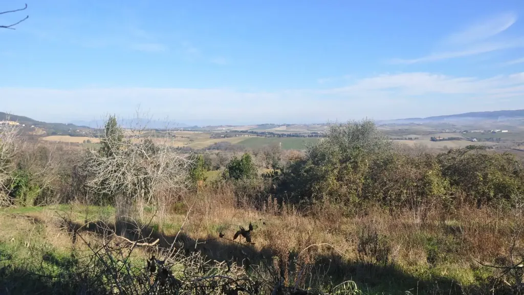 Aed - Historic Villa Complex with Panoramic Views near Castelnuovo