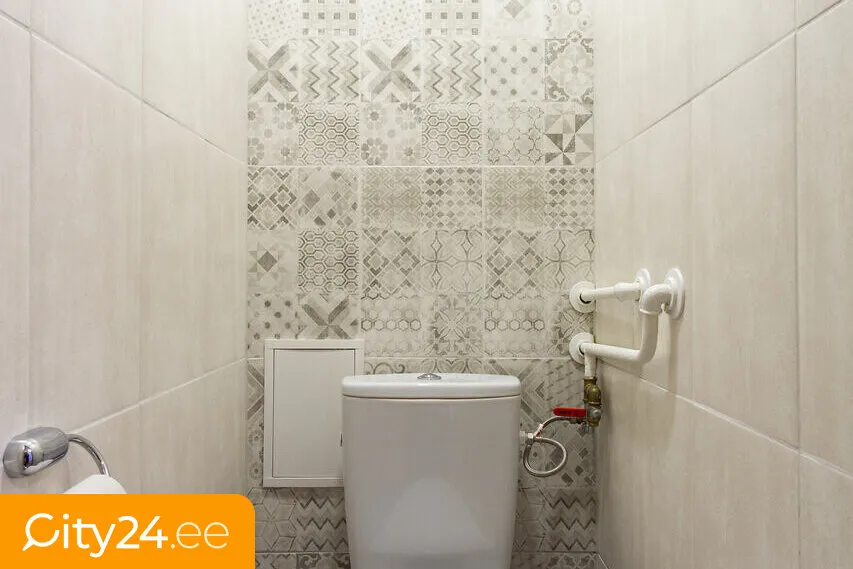 Vannitoad - Renovated Flat with Gas Stove in Tartu