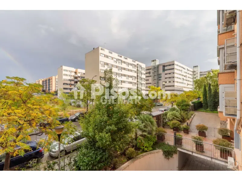 Jardin - Apartment with Pool in Sanchinarro, Madrid