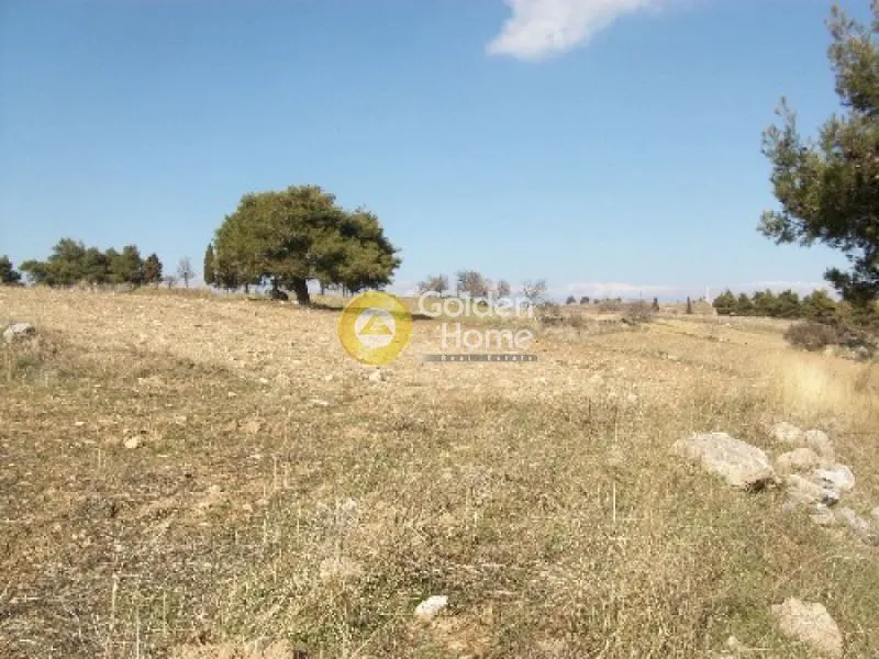 Aed - Plot with Garden in Eastern Attica