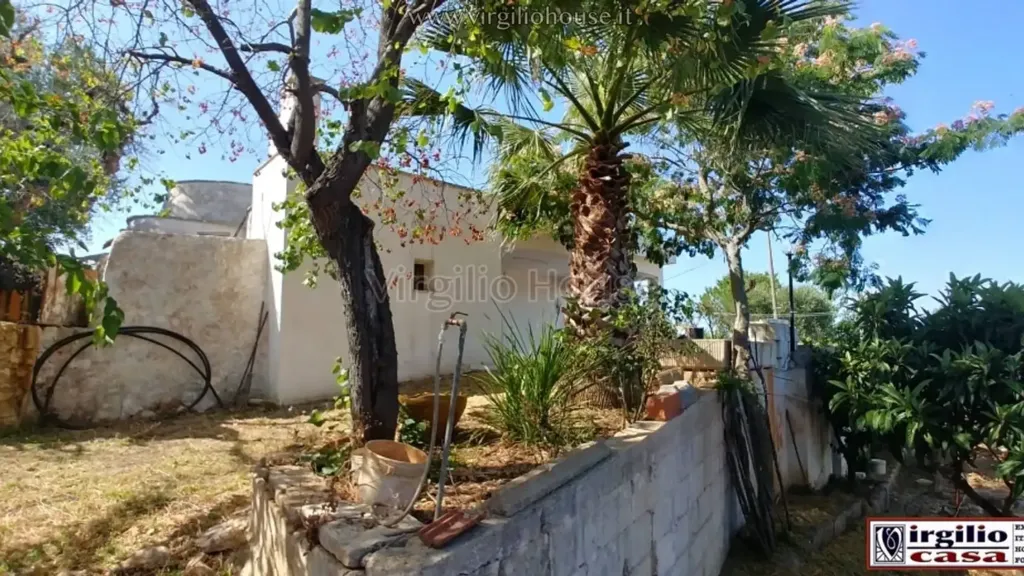 Garden - Typical Trulli House in Ostuni