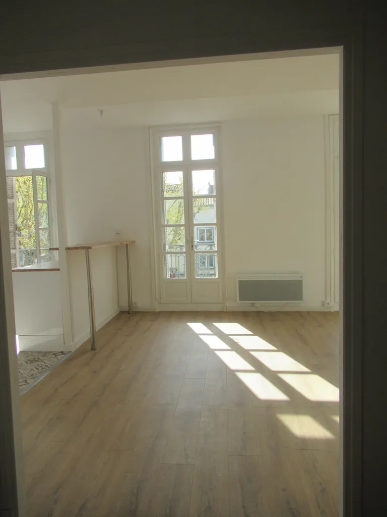 Toad - Renovated Flat with Balcony in Castelnaudary