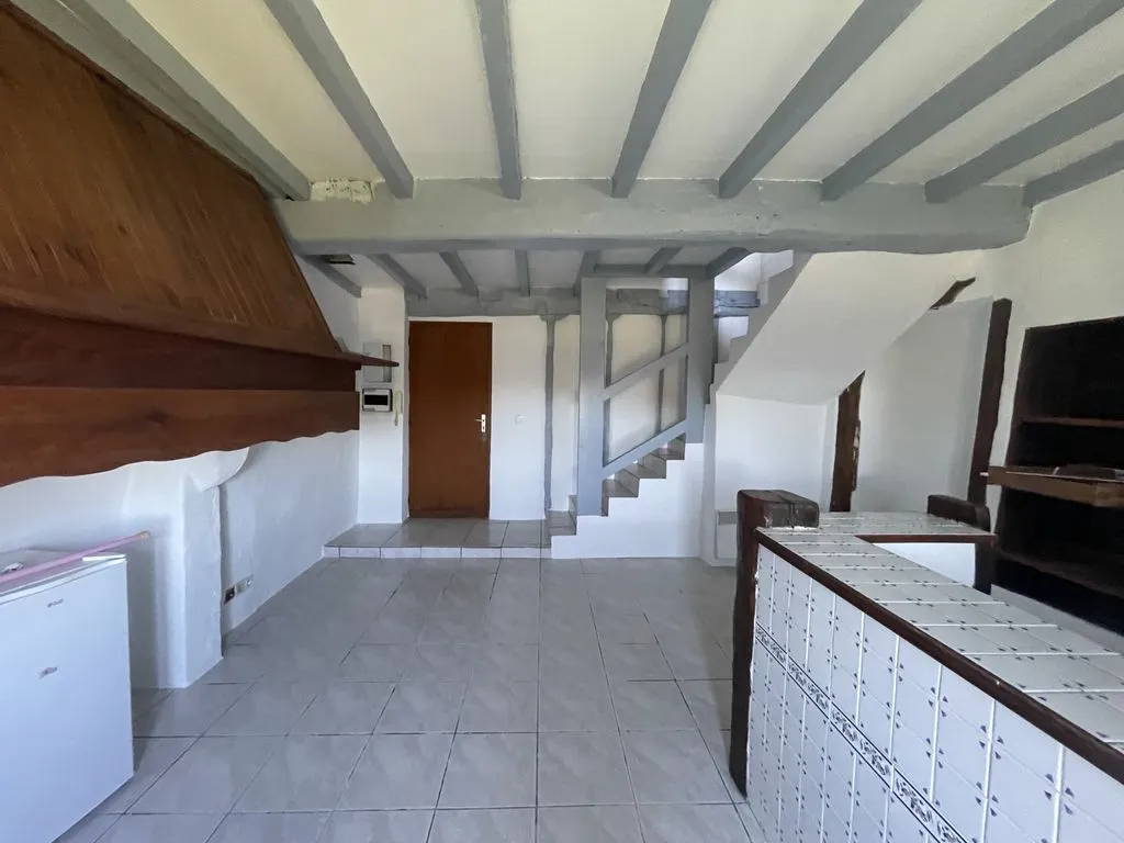 Kitchen - Luxury House with Development Potential in Domezain