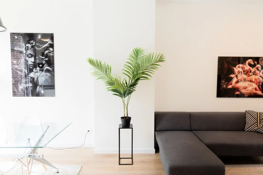 4-toaline korter asukohas Rotterdam