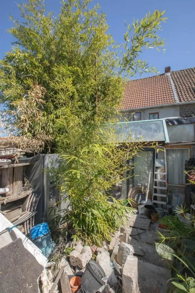 Aed - Renovatable House with Garden in Melle