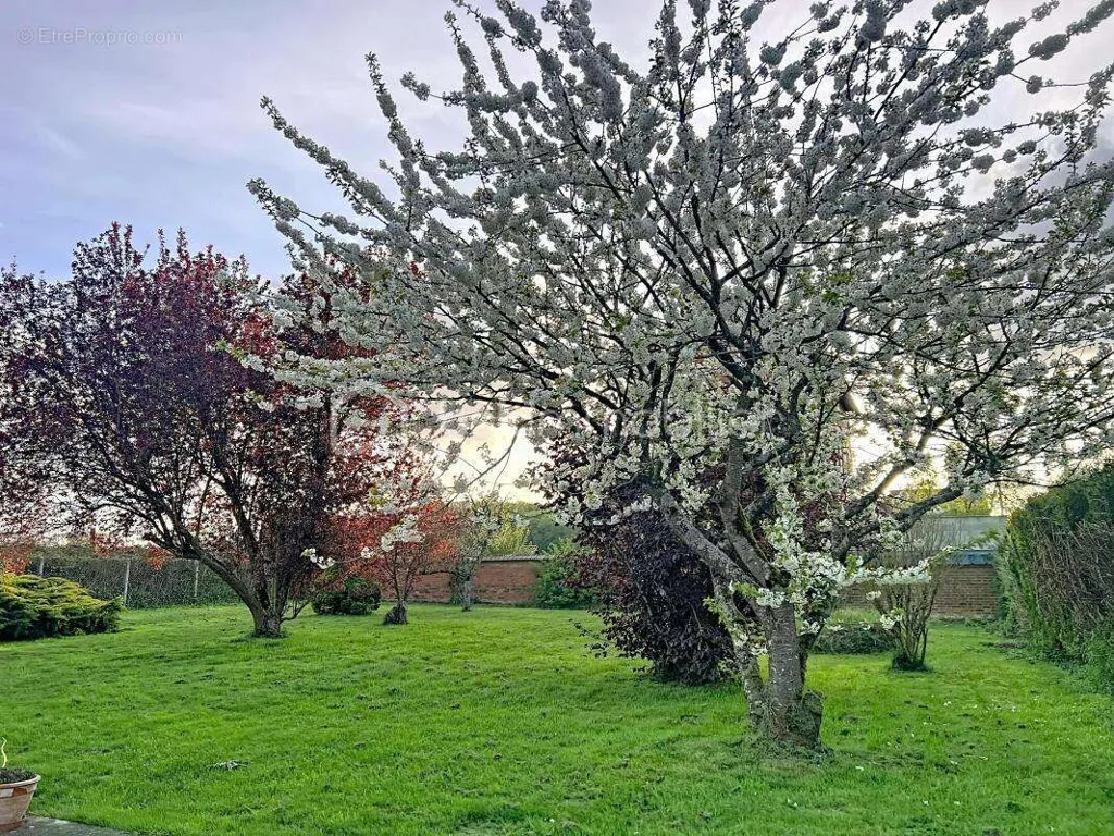 Aed - Constructible Plot near Beauvais
