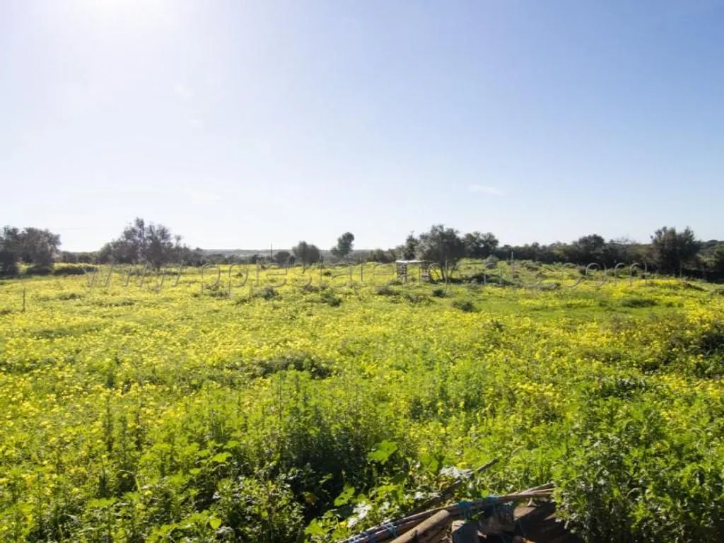 Garden - Luxury Villa with Pool in Lagos Countryside