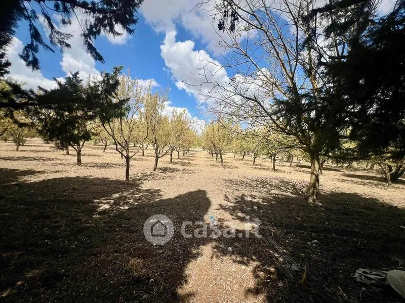 Jardin - Villa with Garden in San Cataldo