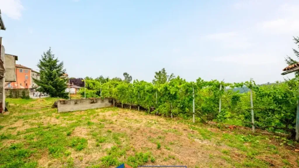 Garden - Rustic House with Garden in Cigliè