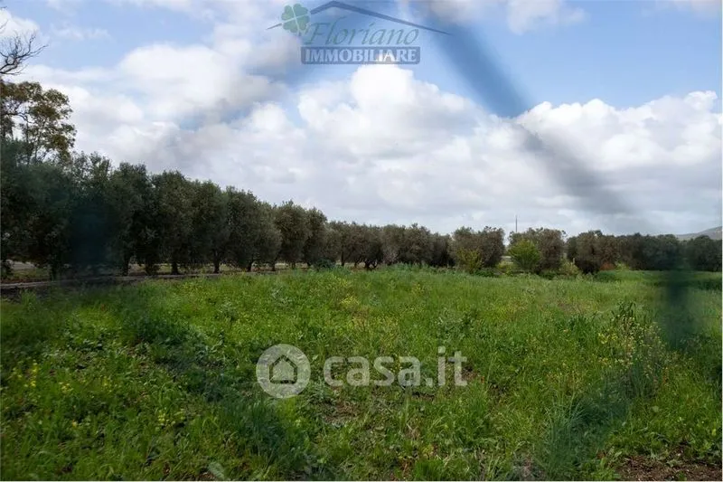 Aed - Rustic Casale with Expansion Potential in Capalbio