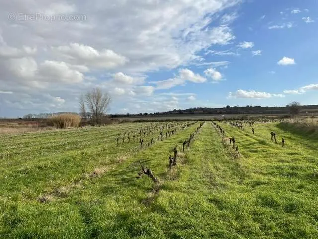 Aed - Constructible Plot in Pouzolles Village
