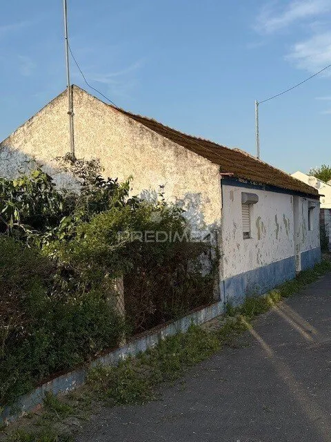 Extérieur - Detached House with Fruit Trees in Água Derramada
