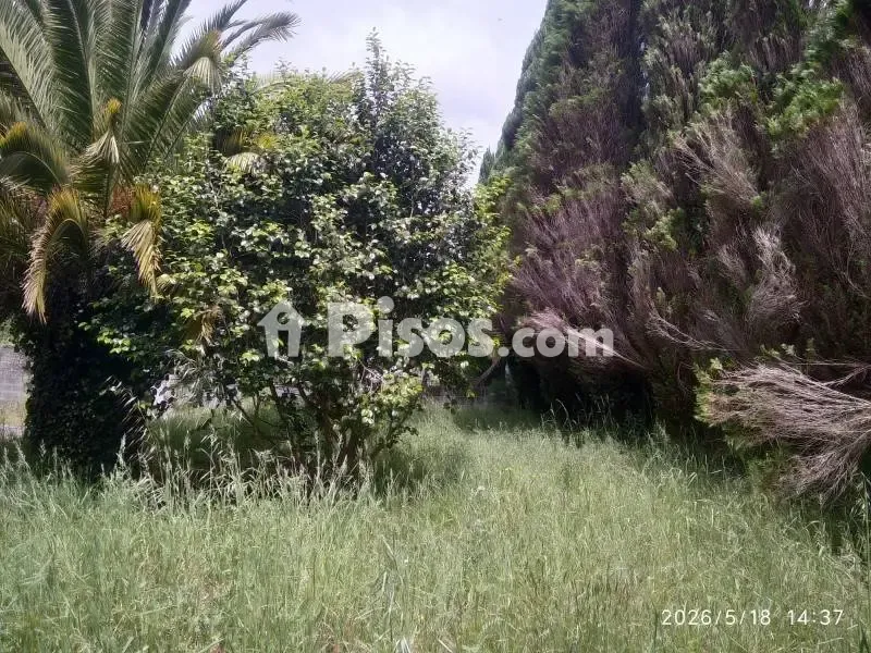 Jardín - Casa rural con jardín en Cedeira, A Coruña