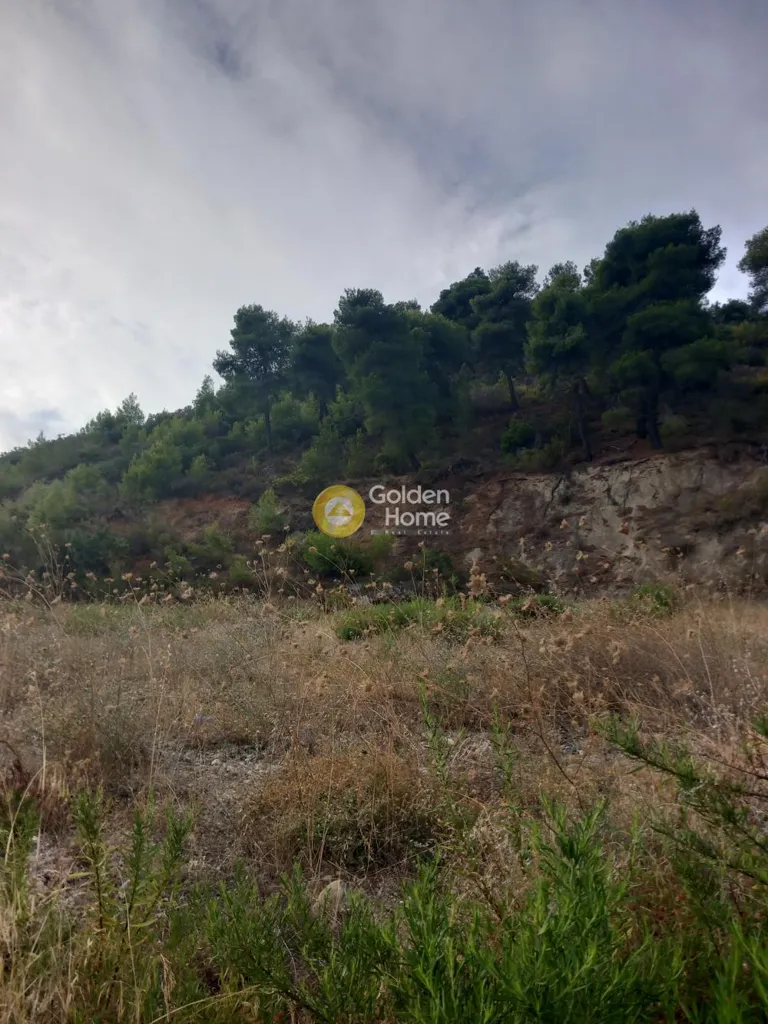 Jardin - Plot with Panoramic Sea View in Akra, Platano