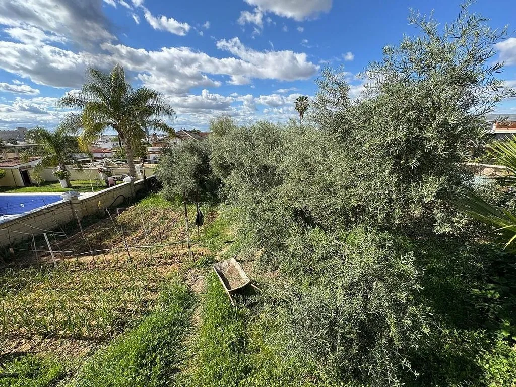 Jardin - Rural House with Pool in Dos Hermanas