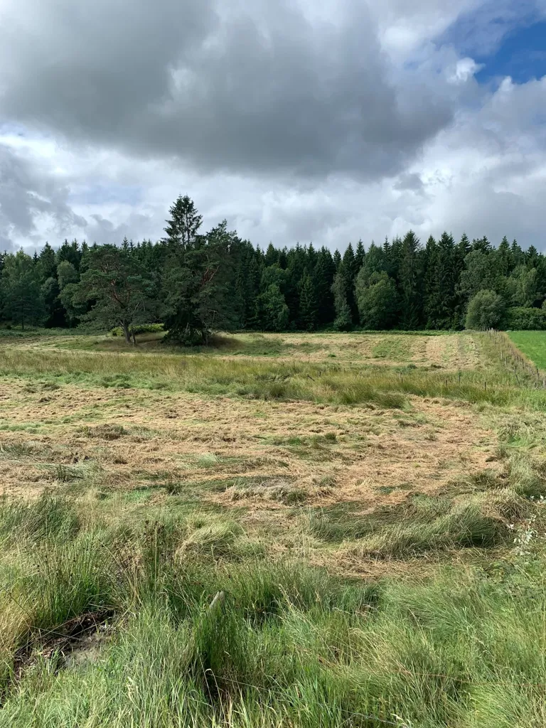 Jardin - Forest Land with Timber in Fröstebo-Gråbo