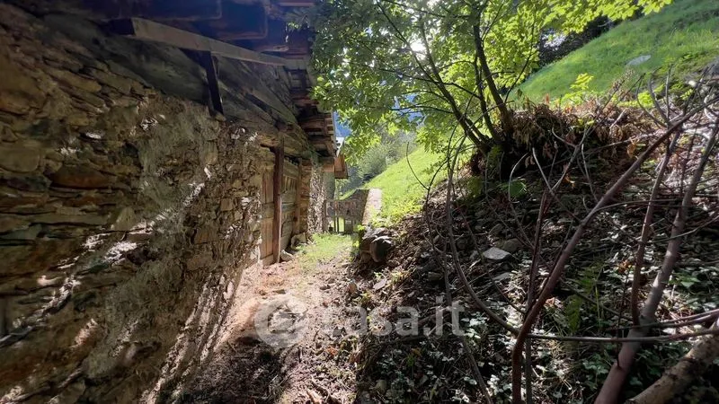 Garden - Rustic Cottage with Garden in Pedesina