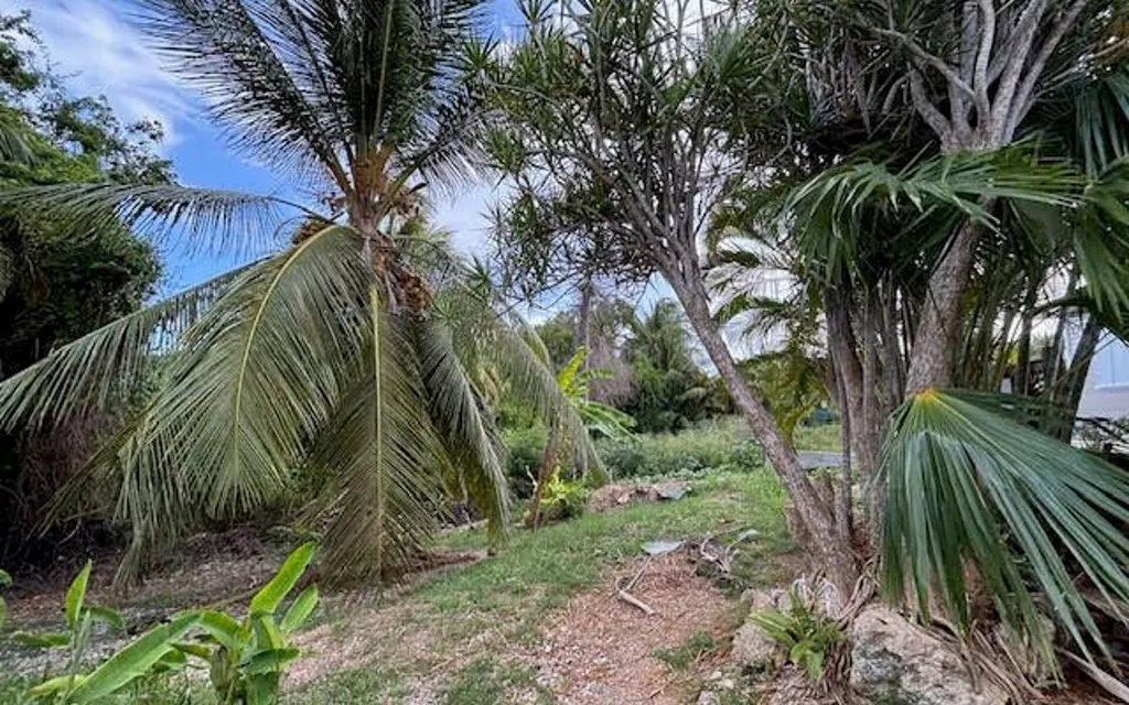 Jardin - Villa Meublée avec Piscine à Le Moule