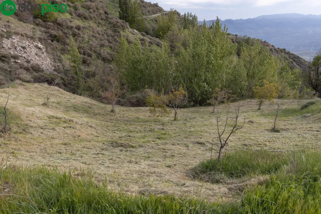Garden - Cortijo with Pools in Sierra de Nigüelas